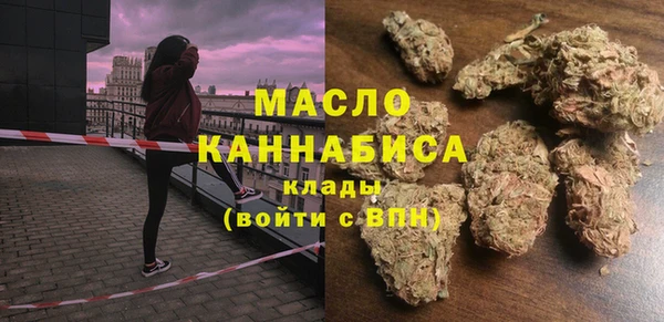 стаф Ельня