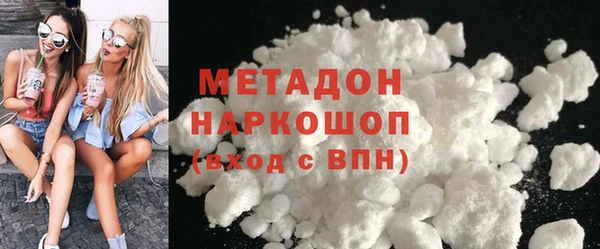 стаф Ельня